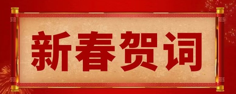 挺膺担当启新程，奋楫笃行谱华章——湖南省地质院2025年新春贺词